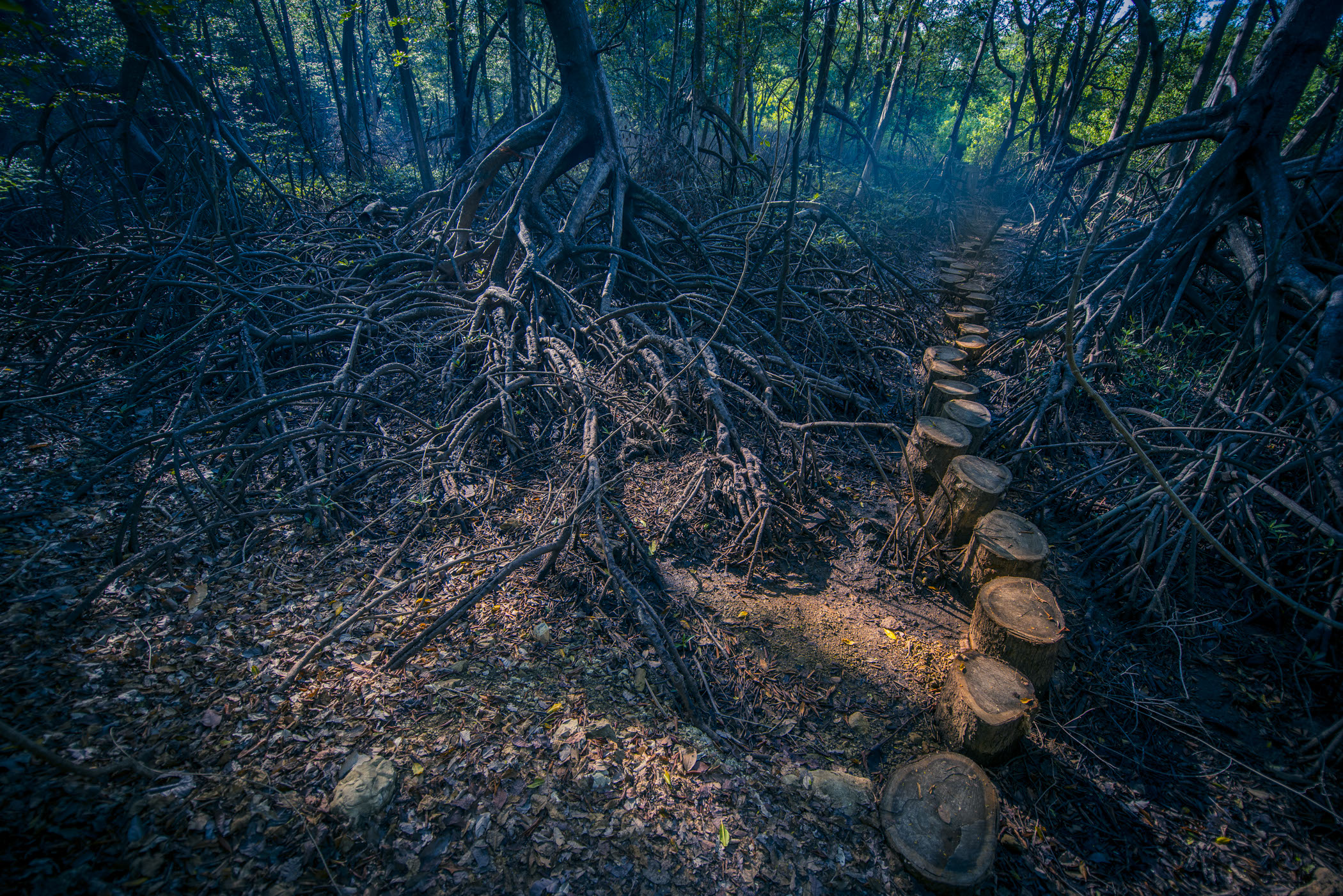 Costa Rica, Guanacaste, Nosara, Pelada Jade, Jade Retreat, Lagarta Lodge