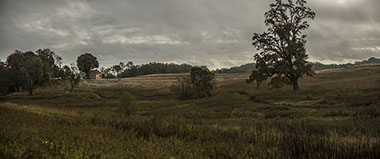 Longwood Gardens, Longwood Gardens Meadow,
