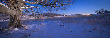 Longwood Gardens, Longwood Gardens Meadow,